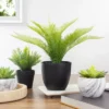Northlight 12" Potted Green Artificial Pinus Plant -Home Decor Shop GUEST 0477da02 7922 4628 b955 52b832510895
