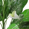 Northlight 47.5" Tropical Peace Lily Spathe Artificial Potted Plant - Green/White 1 Northlight 47.5" Tropical Peace Lily Spathe Artificial Potted Plant - Green/White -Home Decor Shop GUEST 0d0bd461 6526 46d4 b266 c52b7e2bd7c5