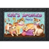 Cats Spoiled Here Humor Doormat Indoor Outdoor 30" X 18" Briarwood Lane -Home Decor Shop GUEST 102943e4 317a 4b56 87c2 81cd9d71b33c