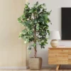 Forever Leaf 72" Artificial Ficus Silk Tree In Black Pot, Indoor Artificial Plant For Home Decor 1 Forever Leaf 72" Artificial Ficus Silk Tree In Black Pot, Indoor Artificial Plant For Home Decor -Home Decor Shop GUEST 169b6653 75a9 474e 8db2 e5b2ffbef699
