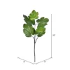 Vickerman 26" Artificial Green Fig Leaf Spray. Includes 3 Sprays Per Pack. 2 Vickerman 26" Artificial Green Fig Leaf Spray. Includes 3 Sprays Per Pack. -Home Decor Shop GUEST 19dcf671 e47b 4331 9741 0a3a72873824