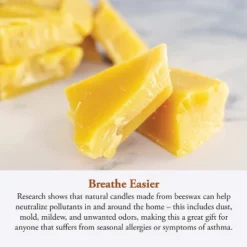 Candle By The Hour 60-Hour Candle Refill, Eco-friendly Natural Beeswax With Cotton Wick 7 Candle By The Hour 60-Hour Candle Refill, Eco-friendly Natural Beeswax With Cotton Wick -Home Decor Shop GUEST 1be736d2 98df 44a4 a9c7 7790105f7a35