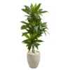 Nearly Natural 4-ft Artificial Dracaena Plant In Sand Colored Planter (Real Touch) -Home Decor Shop GUEST 1c54069c a544 4cdc 8485 73937a15e03f