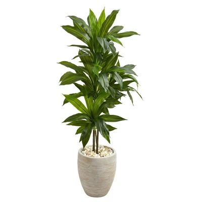 Nearly Natural 4-ft Artificial Dracaena Plant In Sand Colored Planter (Real Touch) 3 Nearly Natural 4-ft Artificial Dracaena Plant In Sand Colored Planter (Real Touch)