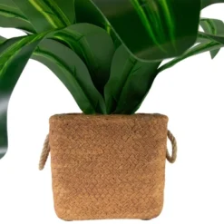 Northlight 27" Artificial Dracaena Plant In Square Rattan Pattern Ceramic Pot 8 Northlight 27" Artificial Dracaena Plant In Square Rattan Pattern Ceramic Pot -Home Decor Shop GUEST 1c7e1b17 a527 43c8 8e69 a69711bc1c02