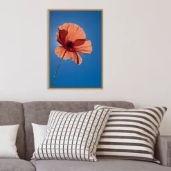 16" X 23" Poppy Flower By Michele Niles Danita Delimont Framed Canvas Wall Art Blue - Amanti Art 15 16" X 23" Poppy Flower By Michele Niles Danita Delimont Framed Canvas Wall Art Blue - Amanti Art -Home Decor Shop GUEST 1da3249c f0db 4be4 bb15 7bb4ccc58a3a