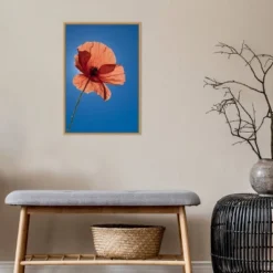 16" X 23" Poppy Flower By Michele Niles Danita Delimont Framed Canvas Wall Art Blue - Amanti Art 14 16" X 23" Poppy Flower By Michele Niles Danita Delimont Framed Canvas Wall Art Blue - Amanti Art -Home Decor Shop GUEST 1efdc793 7615 477c 8234 bb327fffe9a0