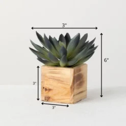 Sullivans Artificial Potted Succulent 6"H Green -Home Decor Shop GUEST 2475955d 8d42 4cc0 b718 bf3c5417b85f
