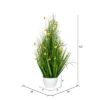 Vickerman Artificial Yellow Potted Artificial Cosmos And Grass 2 Vickerman Artificial Yellow Potted Artificial Cosmos And Grass -Home Decor Shop GUEST 248778bc 11b8 434b 804f 933f334d7206