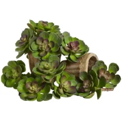 Nearly Natural 6-in Artificial Echeveria Succulent (Set Of 12) -Home Decor Shop GUEST 25419caf 921e 4ad9 aa8b bbbf693dc0be