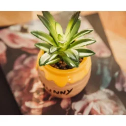 Silver Buffalo Disney Winnie The Pooh Hunny Pot Ceramic Mini Planter With Artificial Succulent 9 Silver Buffalo Disney Winnie The Pooh Hunny Pot Ceramic Mini Planter With Artificial Succulent -Home Decor Shop GUEST 2b3b59a8 d895 43d6 b48a 48a8070c943c