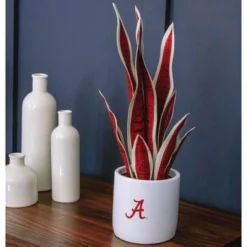 Forever Leaf University Of Alabama Faux Snake Plant, Indoor Artificial Plant For Home Decor 13 Forever Leaf University Of Alabama Faux Snake Plant, Indoor Artificial Plant For Home Decor -Home Decor Shop GUEST 2e068086 3181 44fb 881d 0c8cba198d3a