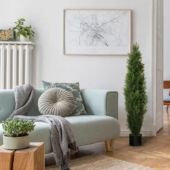 Forever Leaf 36" Cedar Boxwood In Black Pot (2 Pack), Indoor Artificial Plant For Home Decor -Home Decor Shop GUEST 2f110160 0466 4461 90a4 d7675a44d9f9