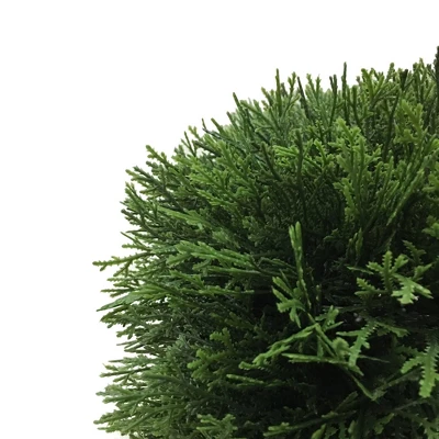 Artificial Cedar Hedge (L24"xW12"xH12" UV) - Vickerman 4 Artificial Cedar Hedge (L24"xW12"xH12" UV) - Vickerman - Image 2