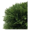 Artificial Cedar Hedge (L24"xW12"xH12" UV) - Vickerman -Home Decor Shop GUEST 3895e0e0 ffdf 4e61 806e fae96d4a29e2