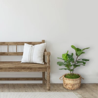 Northlight 26" Dark Green Artificial Potted Fiddle-Leaf Fig Plant 3 Northlight 26" Dark Green Artificial Potted Fiddle-Leaf Fig Plant