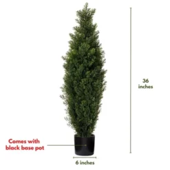 Forever Leaf 36" Cedar Boxwood In Black Pot (2 Pack), Indoor Artificial Plant For Home Decor -Home Decor Shop GUEST 3949c41c 37e3 4f38 b6e3 762b67ef0592
