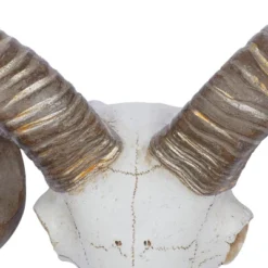 Polystone Sheep Skull Wall Decor White - Olivia & May -Home Decor Shop GUEST 3cd40bb9 77d7 41a4 8db3 c098b811a8d9