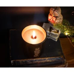 Ukonic Harry Potter Dark Arts Premium Scented Soy Wax Candle 10 Ukonic Harry Potter Dark Arts Premium Scented Soy Wax Candle -Home Decor Shop GUEST 411ab146 4983 4d63 abbb 98ce34b06345