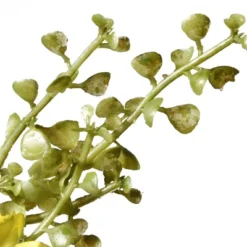 National Tree Company 22" Cosmos Flowers Wreath 8 National Tree Company 22" Cosmos Flowers Wreath -Home Decor Shop GUEST 43d1f6fb fa7f 4758 9de8 d491fd2cfdb2