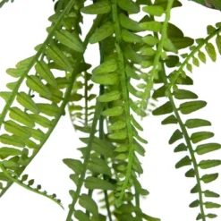 Northlight 18" Artificial Fern Plant With Moss Ball And Hanging Jute Cord -Home Decor Shop GUEST 468a4889 20f3 4f51 87de a36c52f71fe3