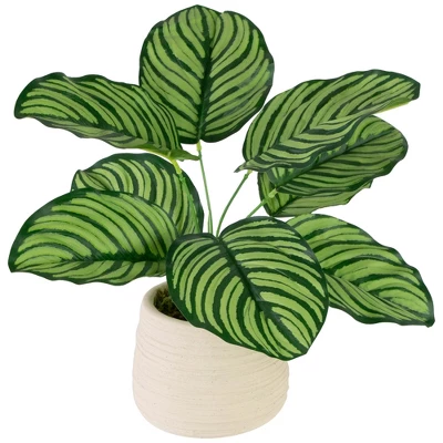 Northlight 13" Artificial Arrowroot Plant In Beige Ceramic Pot 4 Northlight 13" Artificial Arrowroot Plant In Beige Ceramic Pot - Image 2