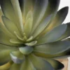 Sullivans Artificial Potted Succulent 6"H Green 1 Sullivans Artificial Potted Succulent 6"H Green -Home Decor Shop GUEST 4bfd2a17 27c6 4e5d adcf 6a1608194636