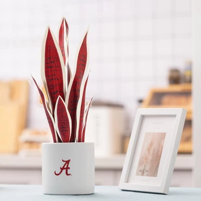 Forever Leaf University Of Alabama Faux Snake Plant, Indoor Artificial Plant For Home Decor 5 Forever Leaf University Of Alabama Faux Snake Plant, Indoor Artificial Plant For Home Decor - Image 3