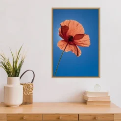 16" X 23" Poppy Flower By Michele Niles Danita Delimont Framed Canvas Wall Art Blue - Amanti Art 13 16" X 23" Poppy Flower By Michele Niles Danita Delimont Framed Canvas Wall Art Blue - Amanti Art -Home Decor Shop GUEST 56a6b46a 221b 4512 bac4 bfa9c2e06a76