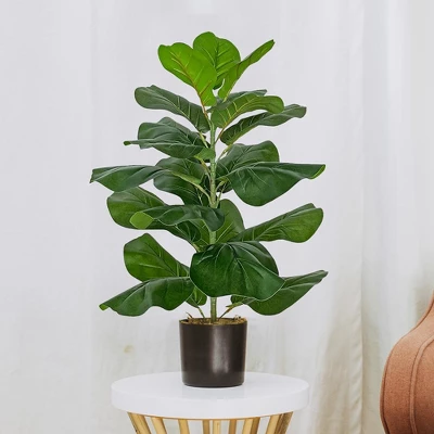 Forever Leaf 28" Artificial Fiddle Fig Leaf Plant In Black Pot, Indoor Artificial Plant For Home Decor 5 Forever Leaf 28" Artificial Fiddle Fig Leaf Plant In Black Pot, Indoor Artificial Plant For Home Decor - Image 3
