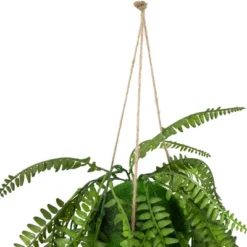Northlight 18" Artificial Fern Plant With Moss Ball And Hanging Jute Cord -Home Decor Shop GUEST 5d0831f1 7f72 48be 9ffc 9cee800662e5