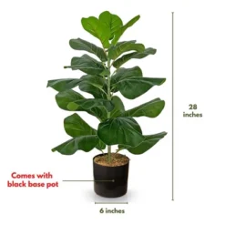 Forever Leaf 28" Artificial Fiddle Fig Leaf Plant In Black Pot, Indoor Artificial Plant For Home Decor 13 Forever Leaf 28" Artificial Fiddle Fig Leaf Plant In Black Pot, Indoor Artificial Plant For Home Decor -Home Decor Shop GUEST 5e155c32 1870 4736 b372 a16b2ac95527