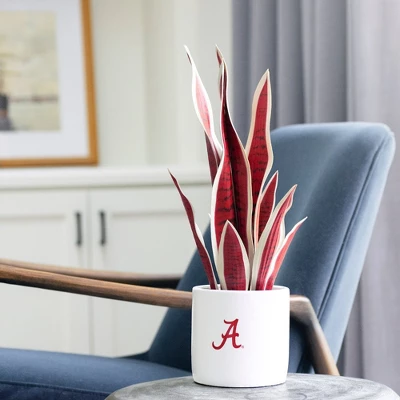 Forever Leaf University Of Alabama Faux Snake Plant, Indoor Artificial Plant For Home Decor 3 Forever Leaf University Of Alabama Faux Snake Plant, Indoor Artificial Plant For Home Decor