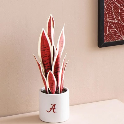 Forever Leaf University Of Alabama Faux Snake Plant, Indoor Artificial Plant For Home Decor 6 Forever Leaf University Of Alabama Faux Snake Plant, Indoor Artificial Plant For Home Decor - Image 4