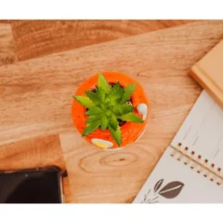 Nickelodeon Silver Buffalo SpongeBob Pineapple House 5-Inch Ceramic Planter With Artificial Succulent -Home Decor Shop GUEST 7934f043 22eb 4922 923a 07cc9bee088a