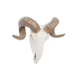 Polystone Sheep Skull Wall Decor White - Olivia & May -Home Decor Shop GUEST 7f368657 e045 4ef7 99cc 5cafb512bc21