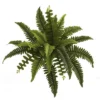 Nearly Natural 14-in Boston Fern Artificial Plant (Set Of 6) 2 Nearly Natural 14-in Boston Fern Artificial Plant (Set Of 6) -Home Decor Shop GUEST 7fdf1cd7 d5ea 4fa5 bdb3 bd4b8d89ac97
