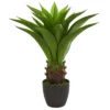 Nearly Natural 30” Agave Artificial Plant 2 Nearly Natural 30” Agave Artificial Plant -Home Decor Shop GUEST 83462c6a 4596 4acf b7d0 ca1a5b48dff4