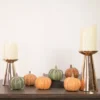 Northlight Set Of 6 Boxed Orange And Green Pumpkin Thanksgiving Decorations 1 Northlight Set Of 6 Boxed Orange And Green Pumpkin Thanksgiving Decorations -Home Decor Shop GUEST 8ffc2bcf d939 4393 b55a 31a9da2da5a6