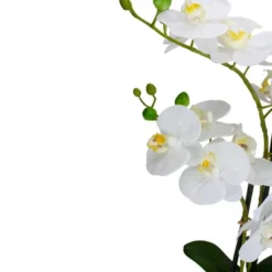 Northlight 22" Artificial White And Yellow Orchid Plant With A White Oval Pot Tabletop Decor 9 Northlight 22" Artificial White And Yellow Orchid Plant With A White Oval Pot Tabletop Decor -Home Decor Shop GUEST 91c98237 c7ff 4863 96b9 dee3d7b3f16f