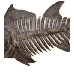 Global Crafts Grey Fish Bones Nautical Haitian Steel Drum Wall Art 8 Global Crafts Grey Fish Bones Nautical Haitian Steel Drum Wall Art -Home Decor Shop GUEST 9331808b 625d 4b87 836b b58864e754ef