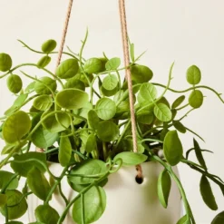 31" Faux Button Fern Hanging Plant - Hearth & Hand™ With Magnolia 5 31" Faux Button Fern Hanging Plant - Hearth & Hand™ With Magnolia -Home Decor Shop GUEST a038b521 4b8c 4c09 be4b b801ccd0a0e4