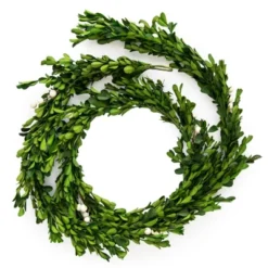 6ft Preserved Boxwood Garland - Sugar Paper™ + Target 6 6ft Preserved Boxwood Garland - Sugar Paper™ + Target -Home Decor Shop GUEST a7152608 d142 4f82 b10a 1d6cf9ccd4d3