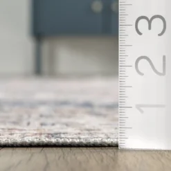 NuLOOM Drina Distressed Machine Washable Area Rug -Home Decor Shop GUEST a751ee07 0708 4526 b1c9 1349169be6ae