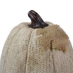 Northlight 6.25" White Pumpkin Autumn Harvest Thanksgiving Tabletop Decoration 7 Northlight 6.25" White Pumpkin Autumn Harvest Thanksgiving Tabletop Decoration -Home Decor Shop GUEST b371f364 a091 4f33 8c31 f4a08038de15