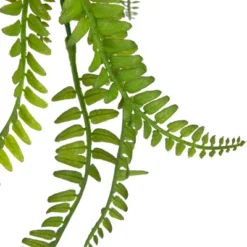 Northlight 18" Artificial Fern Plant With Moss Ball And Hanging Jute Cord -Home Decor Shop GUEST bb6edb2d bc56 4974 8131 837b66228aaf