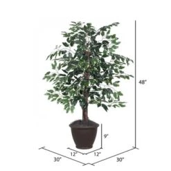 Vickerman Artificial Variegated Ficus Series -Home Decor Shop GUEST bd082142 4f0d 4b15 a367 d3e5860464cd