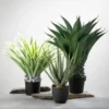 Sullivans Artificial Potted Varigated Agave 26"H Green 2 Sullivans Artificial Potted Varigated Agave 26"H Green -Home Decor Shop GUEST c3b134ba 42fe 4c93 909c 8eb6825f7956