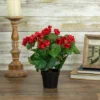 Northlight 11" Red Potted Silk Begonia Spring Artificial Floral Arrangement -Home Decor Shop GUEST c80cf217 d7e0 48b9 9549 6385e0d330e2