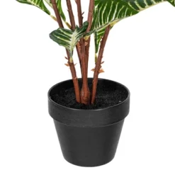 Vickerman 35" Artificial Green Real Touch Zebra Plant. -Home Decor Shop GUEST d24ac36b 5a70 45cc 9ada 15e192d92f58